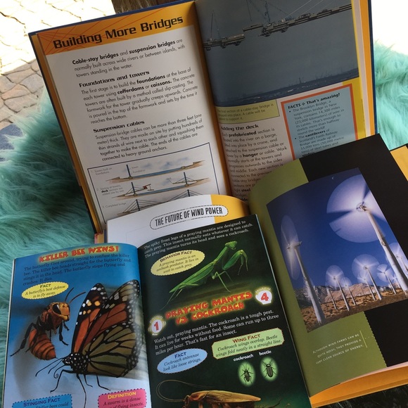 12 Book Bundle, Educational & Fun - Picture 5 of 8